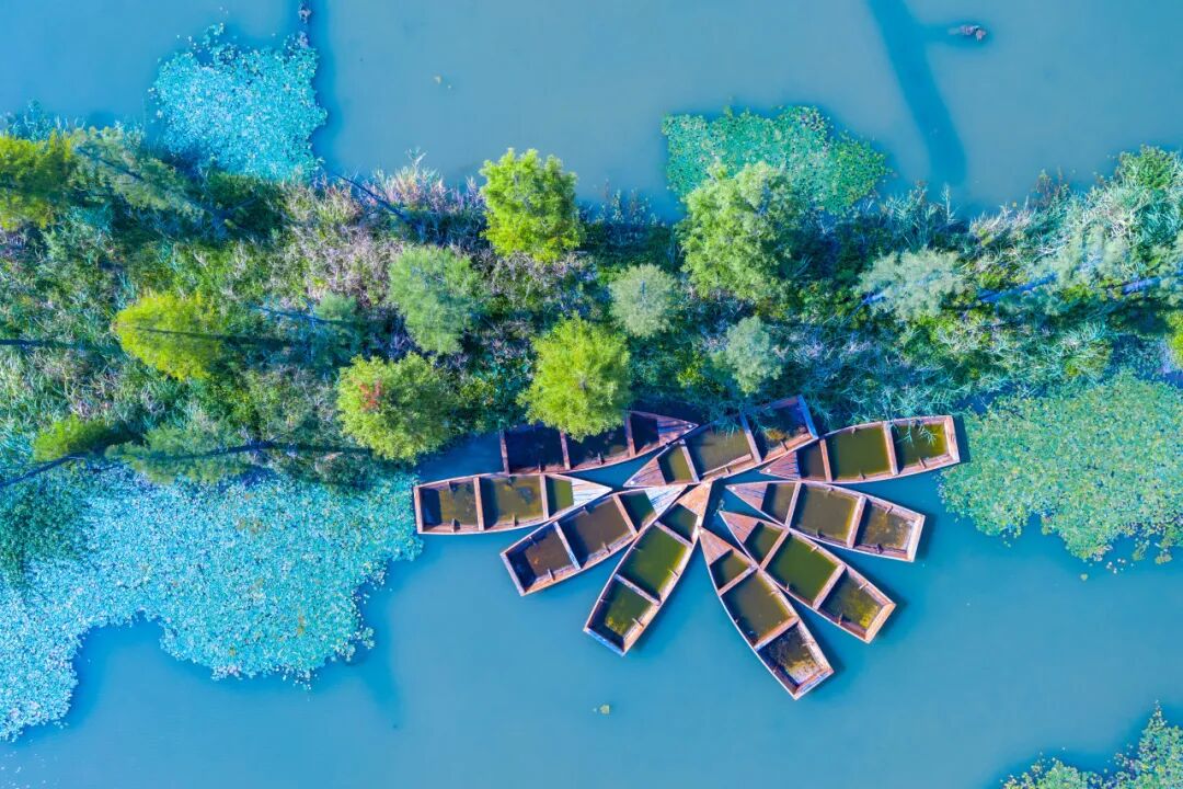 Caojing Shuike Scenic Area: Shanghai accoglie una nuova attrazzione 4A