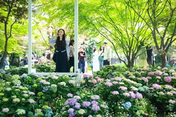 A Shanghai, scoprite l’energia di fiori rigogliosi