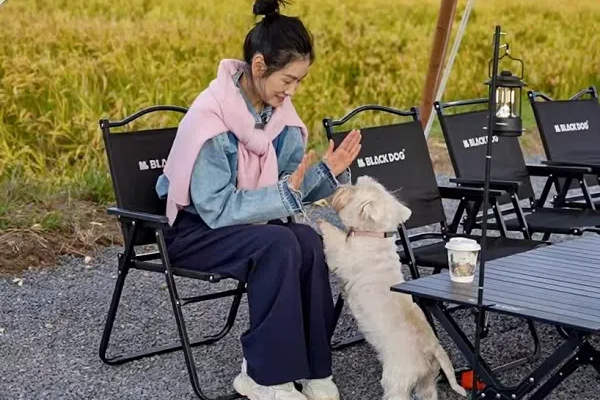 Esplora caffè tranquilli nei campi di riso di Shanghai