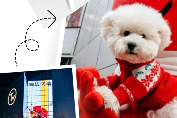 Portate i vostri animali domestici in questi fantastici centri commerciali