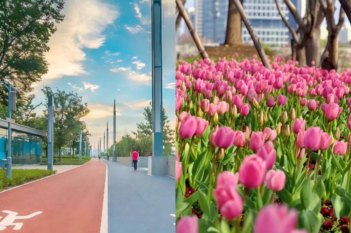 Scopri la primavera a Shanghai su tre splendidi itinerari in bicicletta