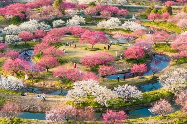 Fuga in campagna: 18 itinerari alla scoperta del fascino rurale di Shanghai