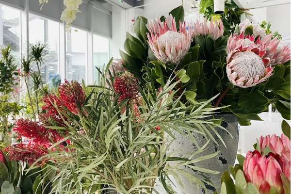 Shanghai, il Parco Culturale dell'Expo inaugura il Mercato dei Fiori per il Capodanno